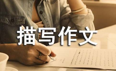 业余爱好者如何在有限时间内提升篮球优势_0